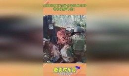 缅甸爆料视频最新版,政权动荡背后的真相与挑战